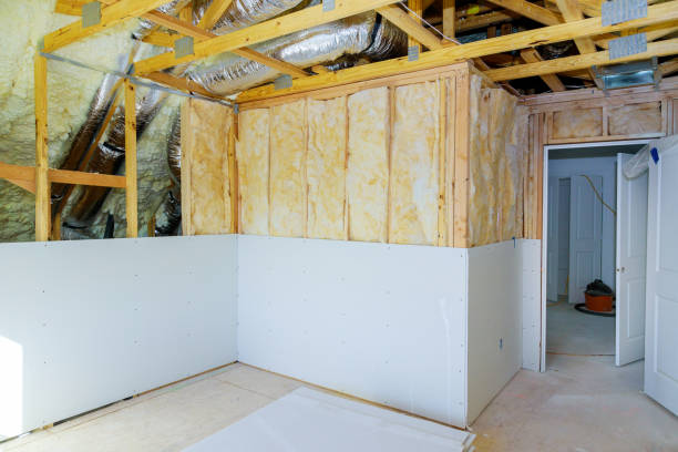 Best Cellulose Insulation  in Lipscom, AL