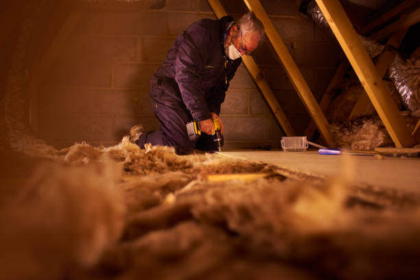 Best Affordable Insulation Services  in Lipscom, AL